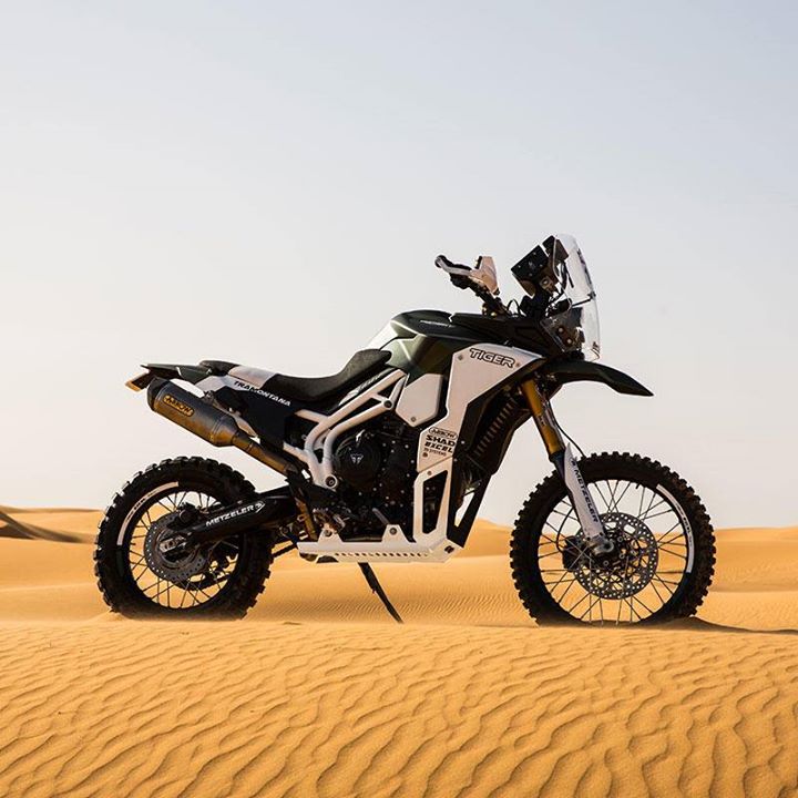 Presentamos la Tiger Tramontana.