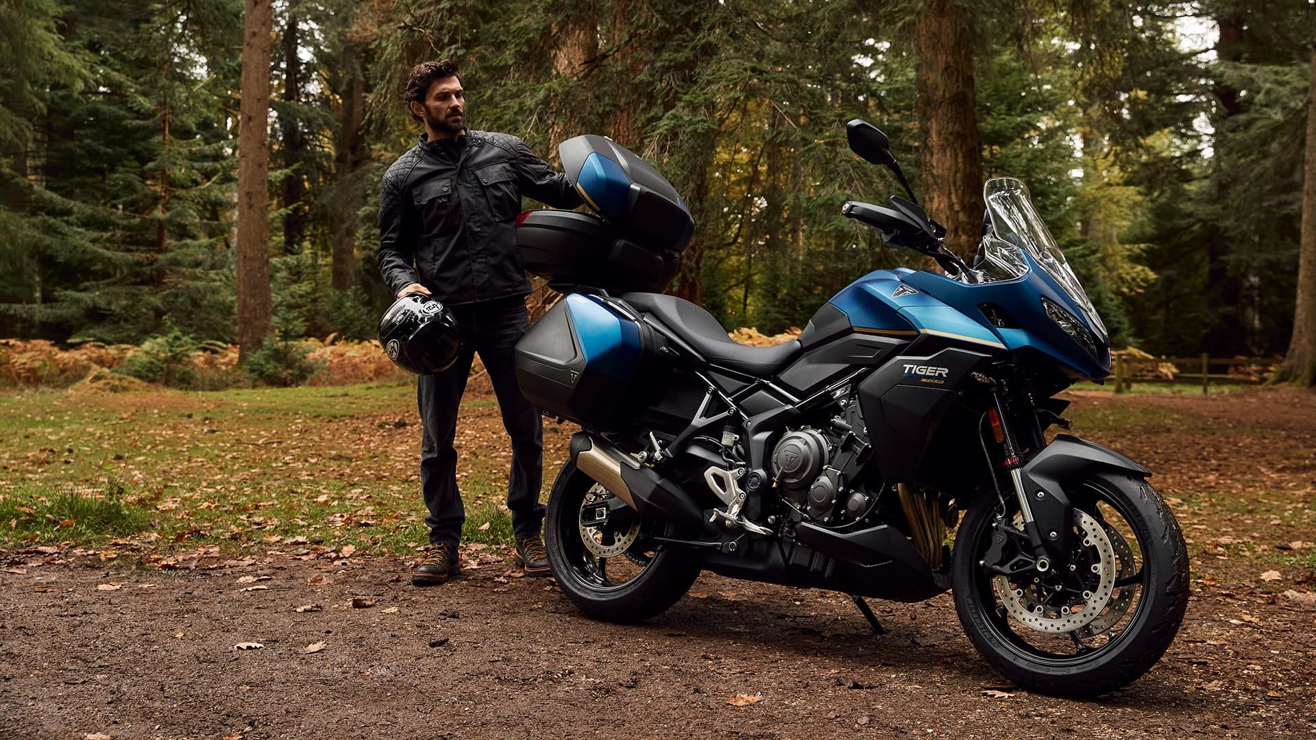 Nueva Tiger Sport 800 Tour